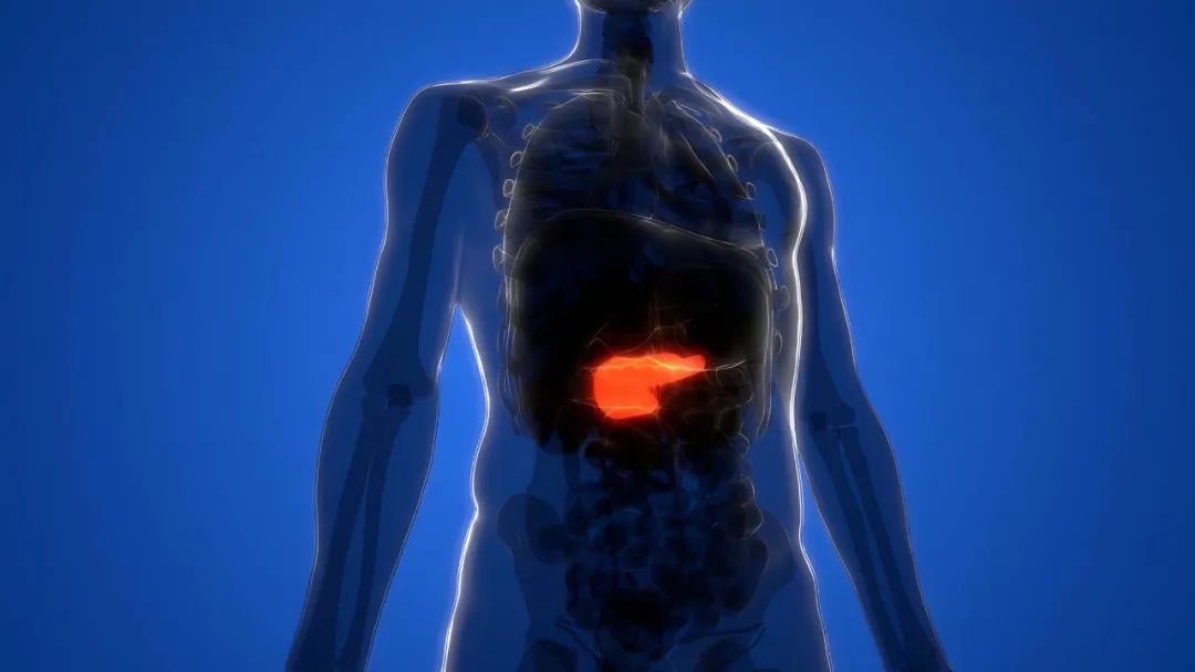胰腺癌会用腰背痛发声