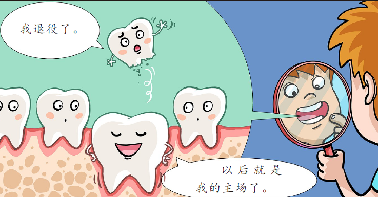 乳牙为啥要换掉