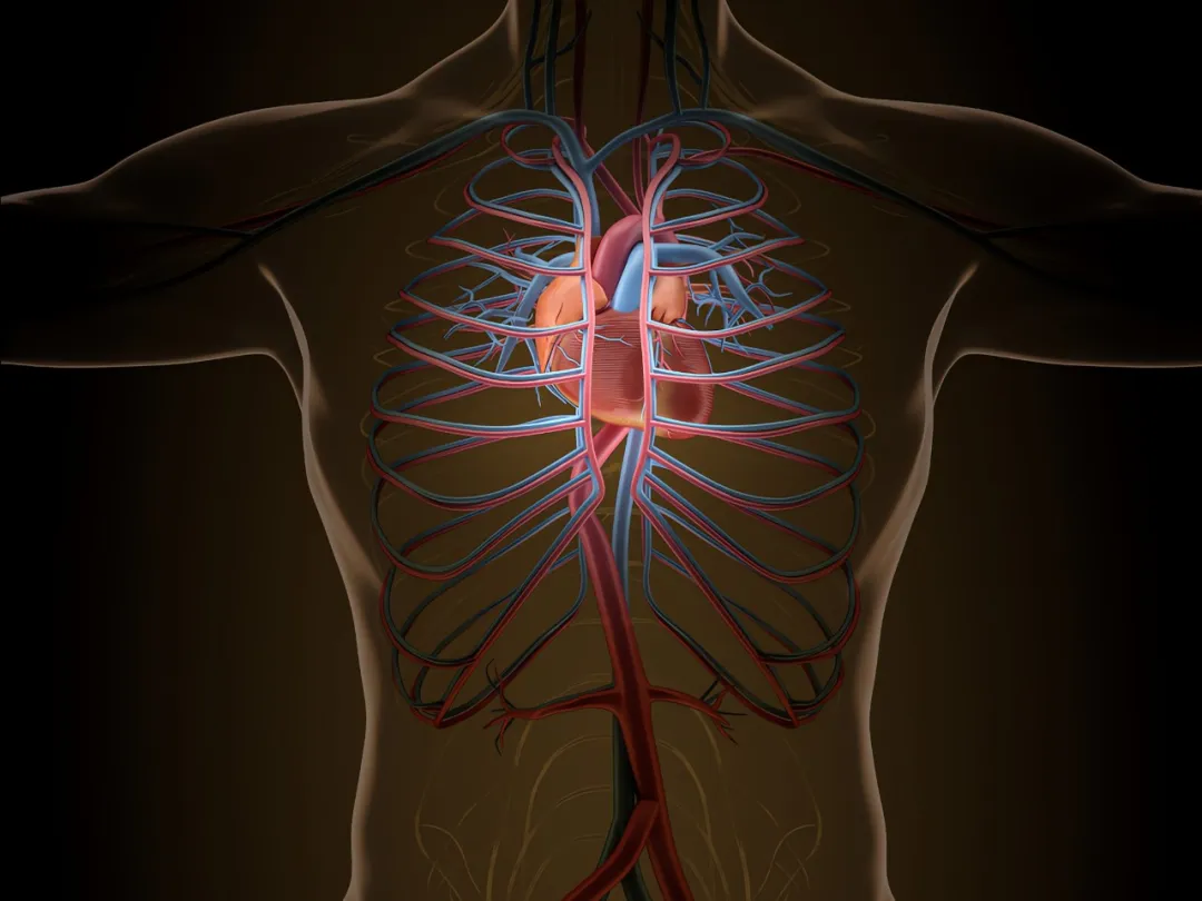 用激素做到五防