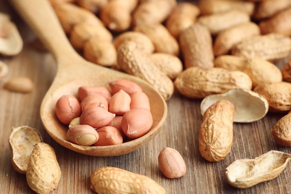 早吃花生可防过敏