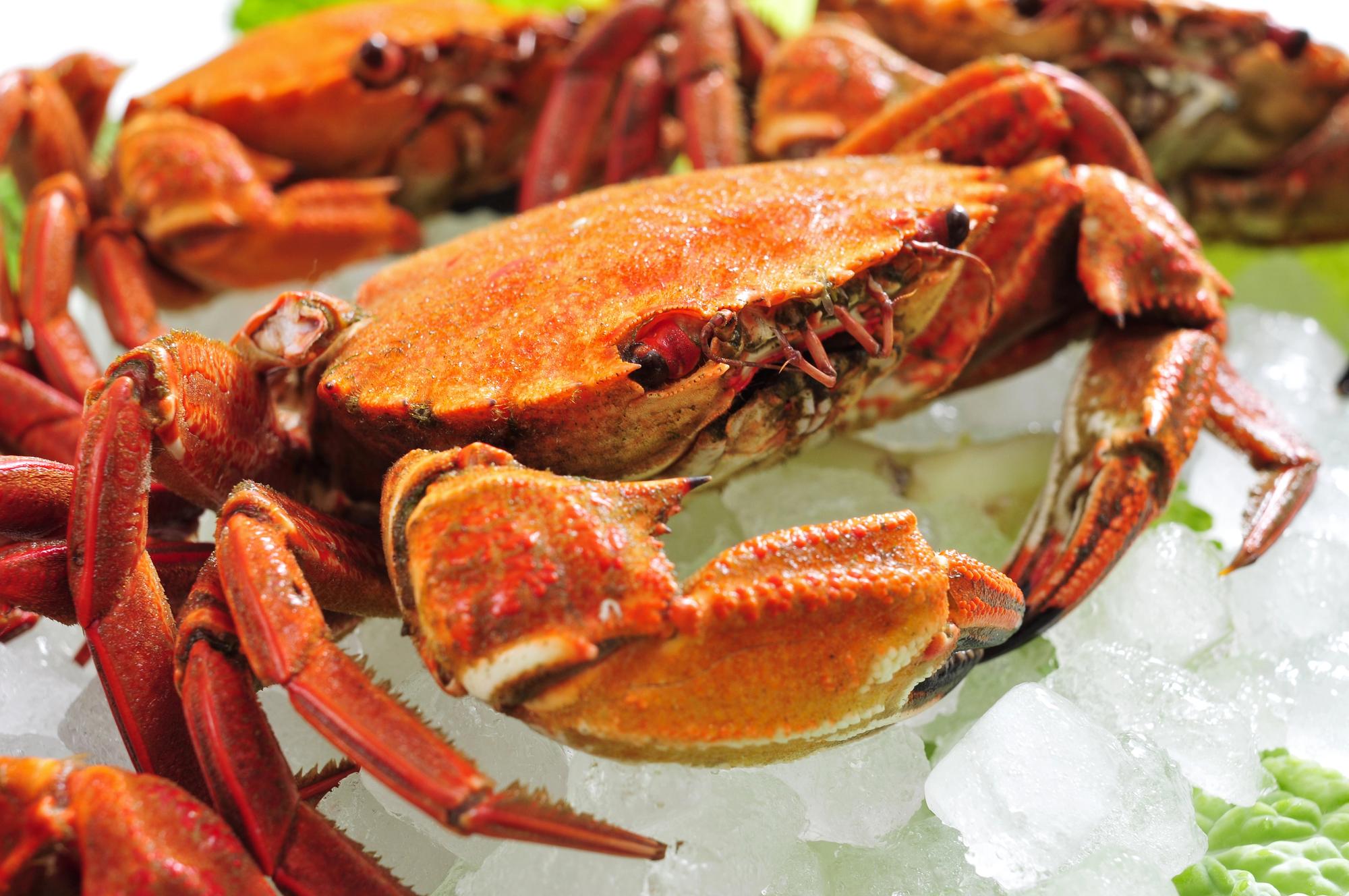 一只蟹，吃出多种花样