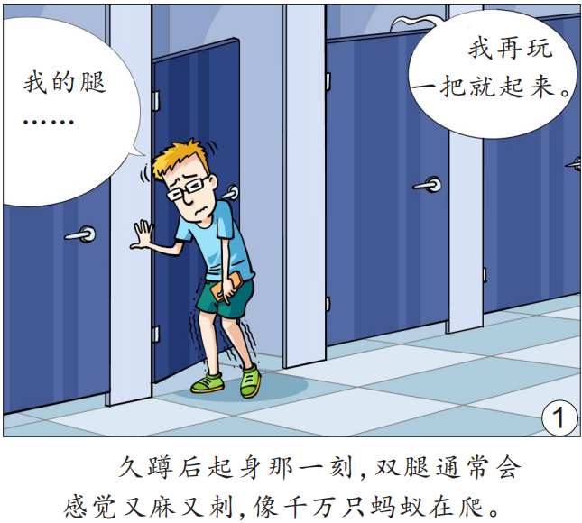 蹲久了为何腿发麻