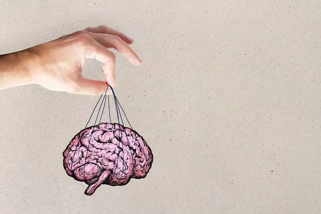 肌肉多腹脂少，大脑衰老慢