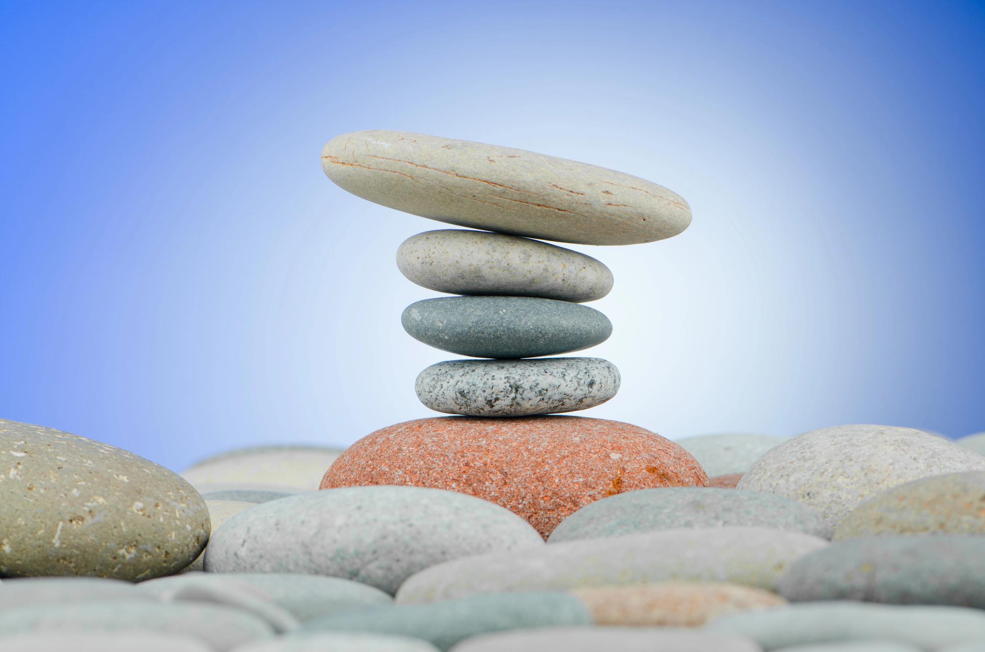 四个伙伴帮你活出韧劲