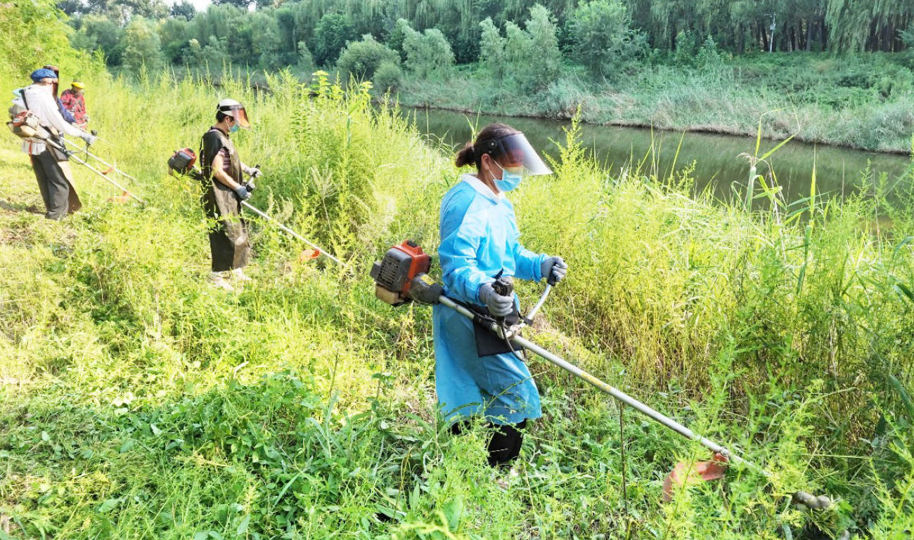 秋季防敏从除草开始！日常还要做好3件事