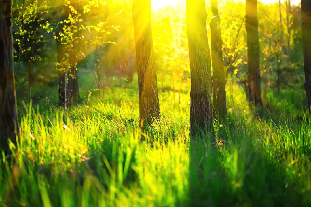 节气中有六个“健康坎”