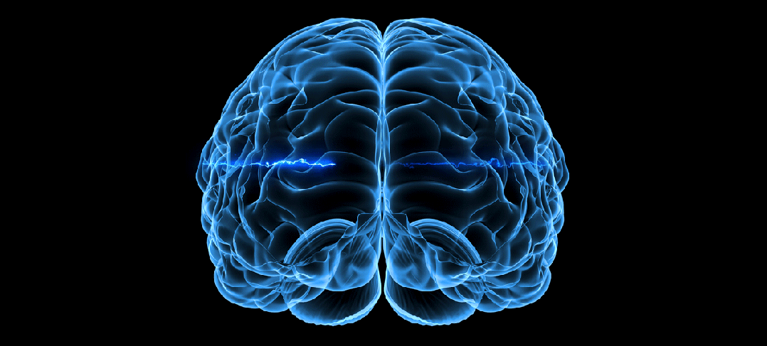 高质量植物饮食防痴呆